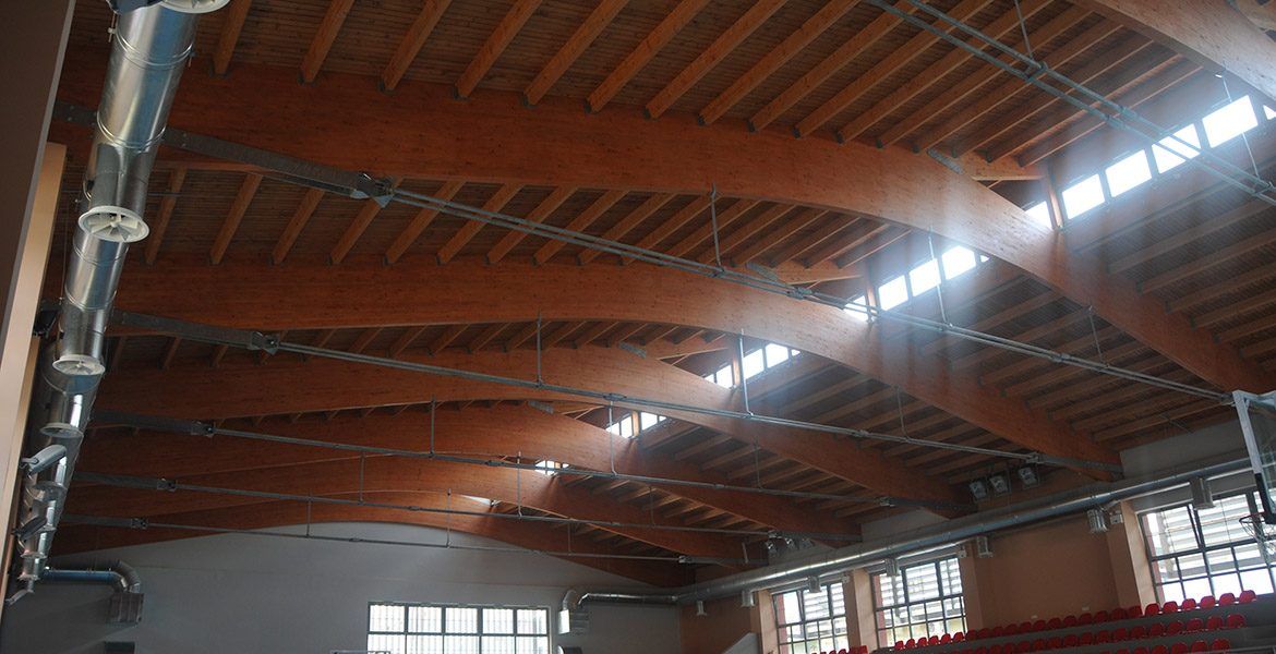 Timber Roof